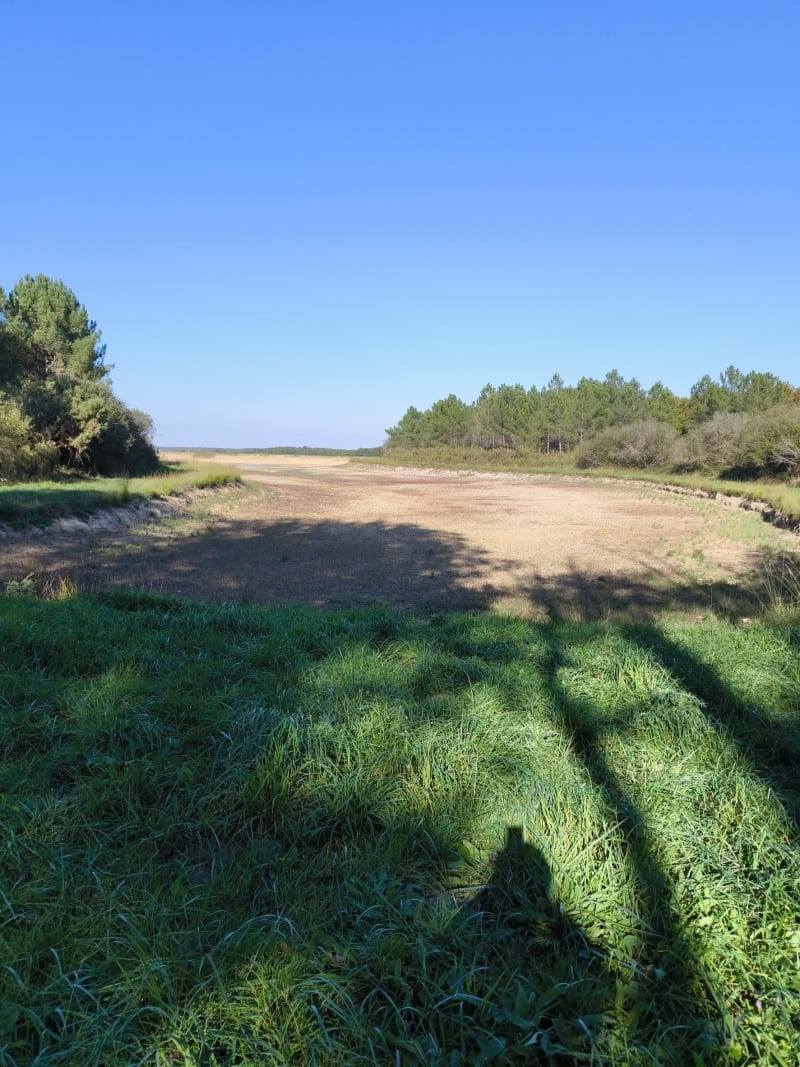 Étang de la forêt, par Plaisance et Poilieux - Sillars