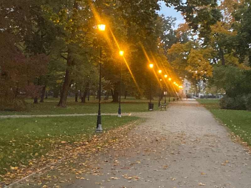 Jesienny park w Skierniewicach - Skierniewice