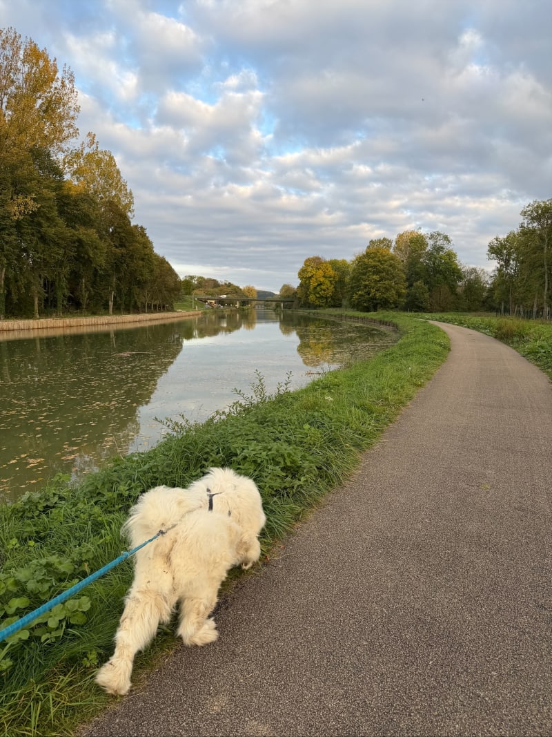Balade de Tonnerre et Canal de Bourgnogne - Tonnerre