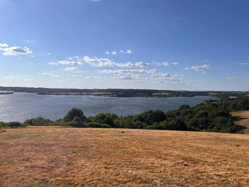Randonnée lac de Pareloup : herbe jaune et grande étendue d'eau en arrière-plan entourée d'arbres verdoyants