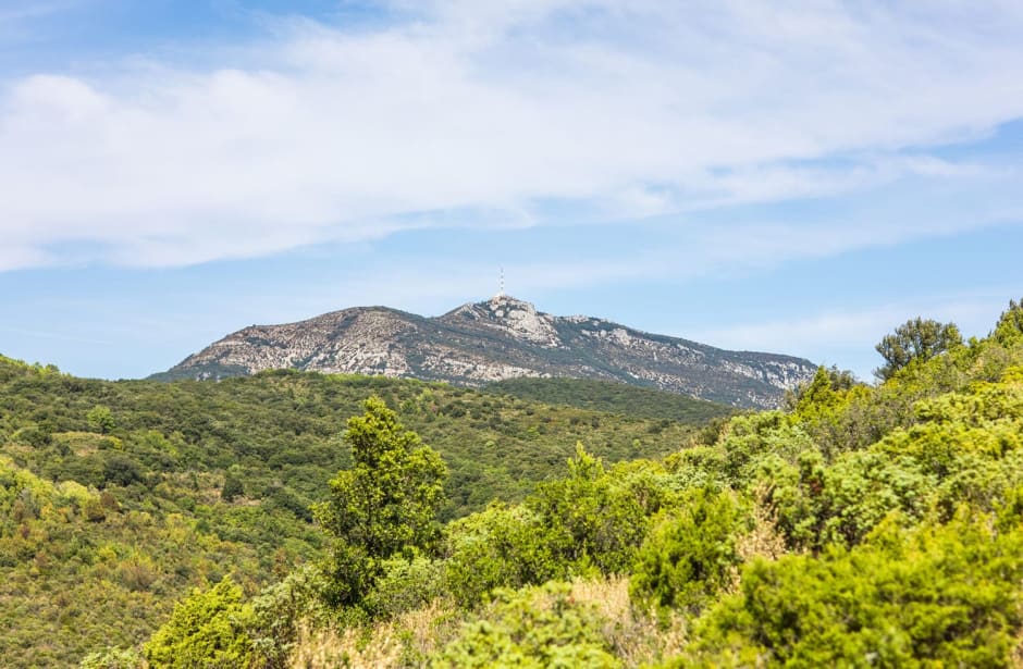 Le mont Saint-Baudille, dans l'Hérault, vu de loin