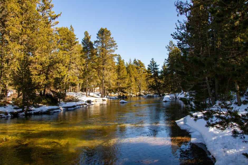 Randonnée Font-Romeu : vue sur la forêt du petit Canada à Pla de Barres