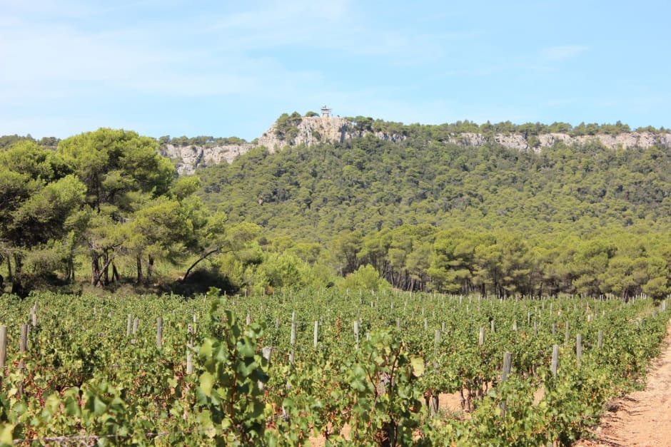 Randonnée dans le massif de la Clape : vue sur le massif et la Vigie au sommet avec des vignes en contrebas