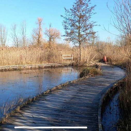 Randonn&eacute;e Armenti&egrave;res - Balade au Pr&eacute;s du Hem