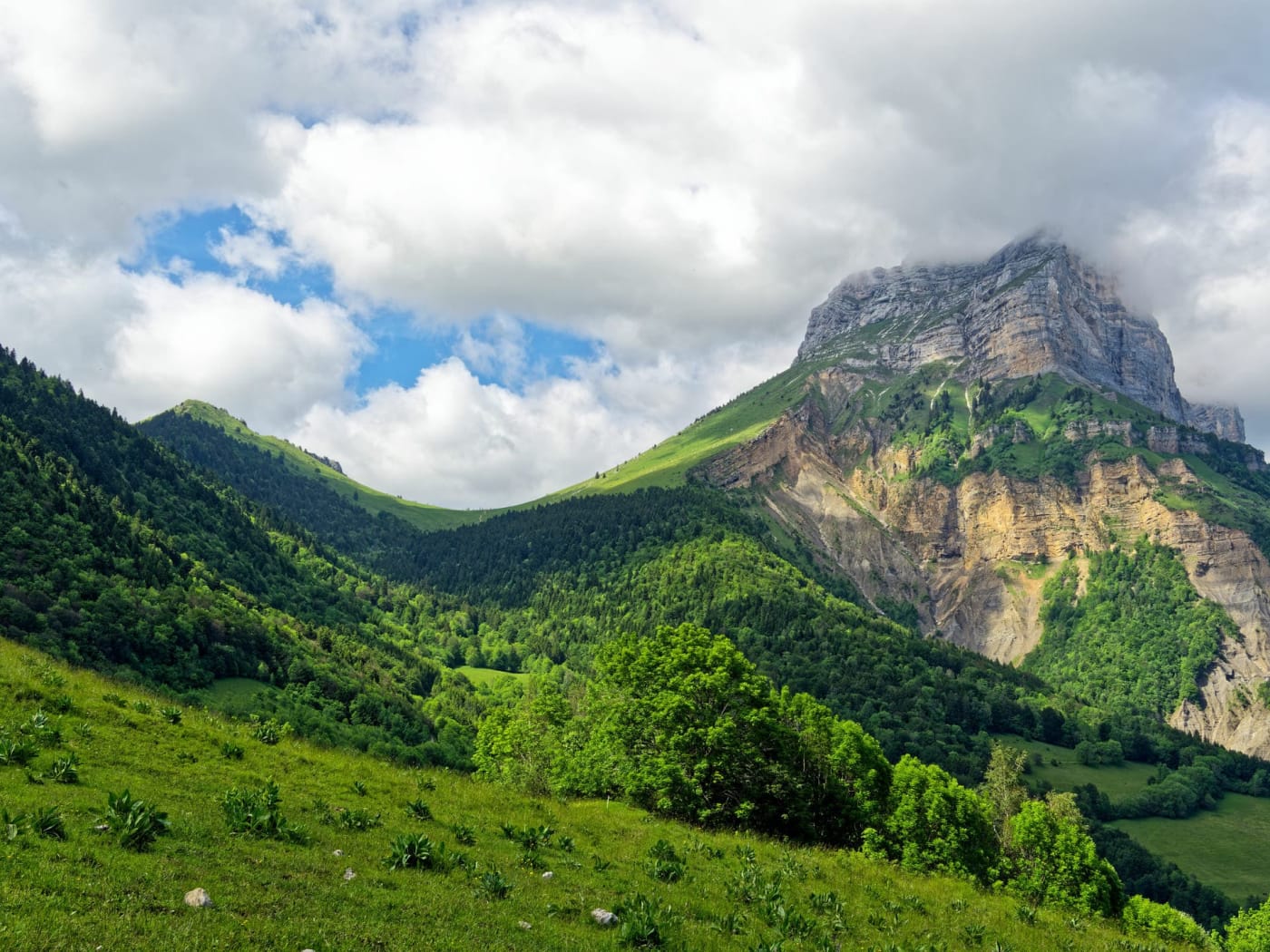 Randonnées famille Chartreuse : versants montagne verdoyants et sommet montagneux dans les nuages