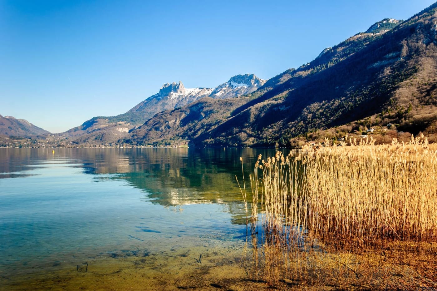 La réserve du bout du lac à Annecy