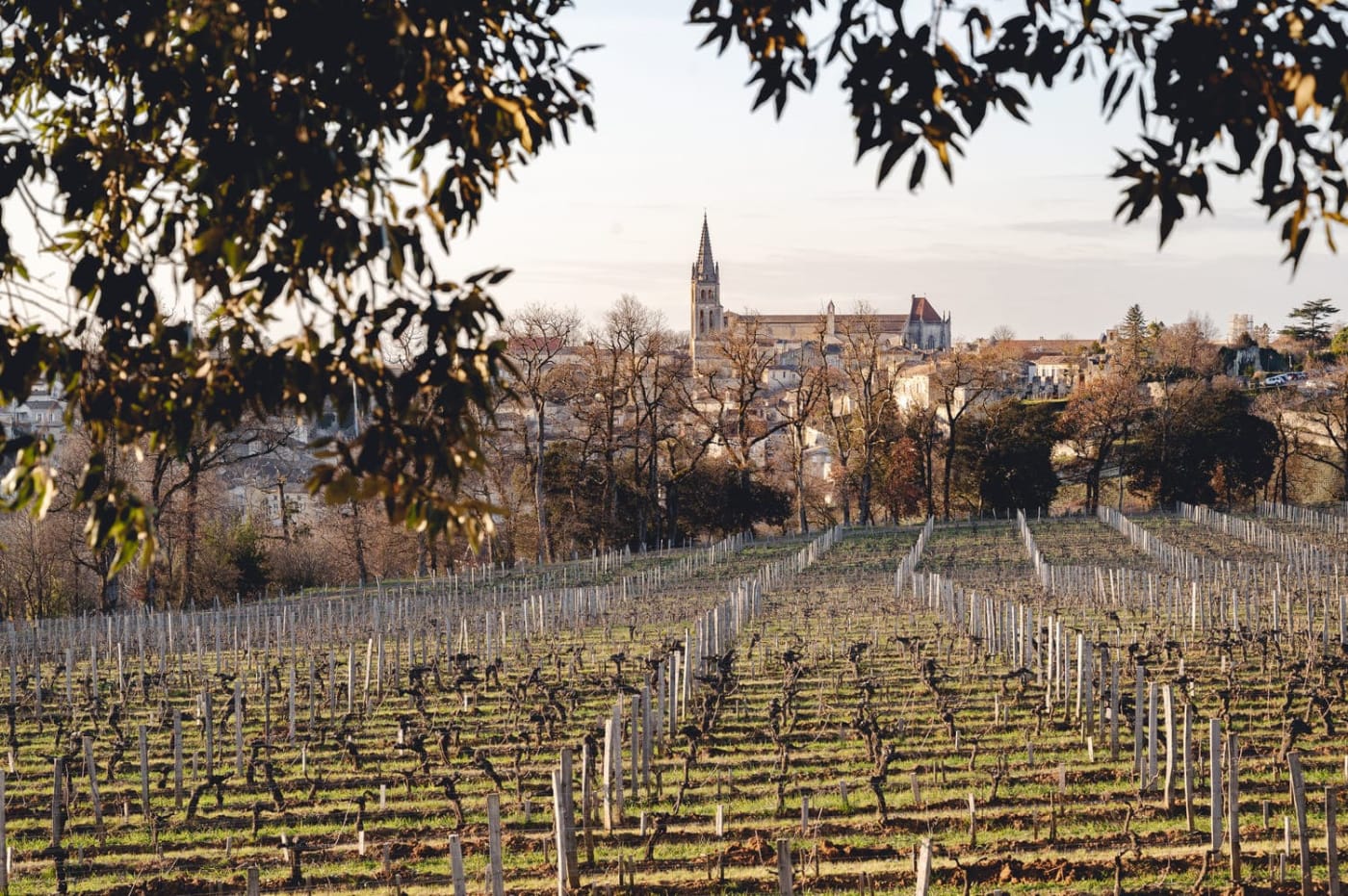 Le village de Saint-Emilion et ses vignes en hiver