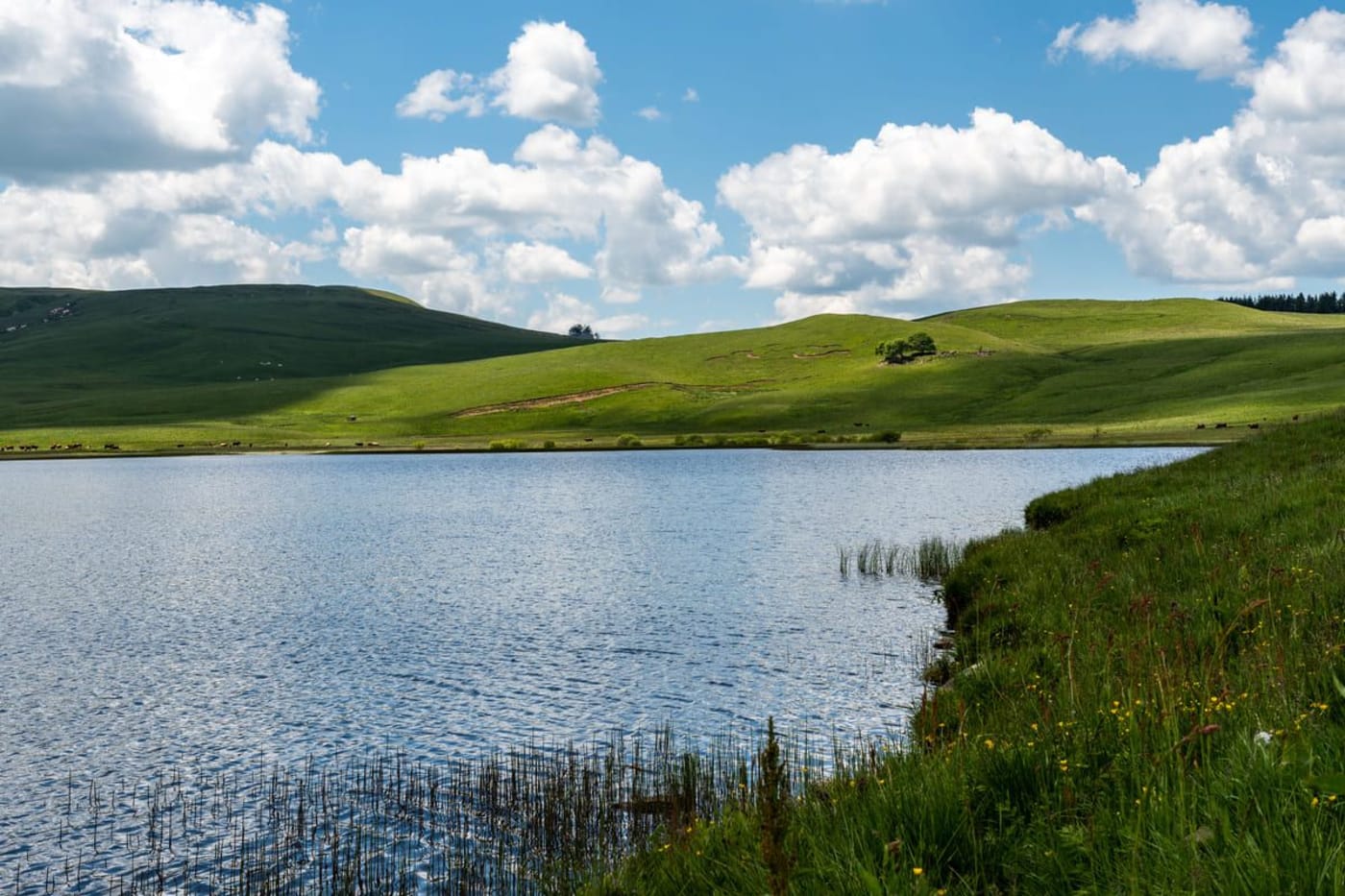 Randonnée aux lacs de Godivelle : vue sur le lac par une belle journée