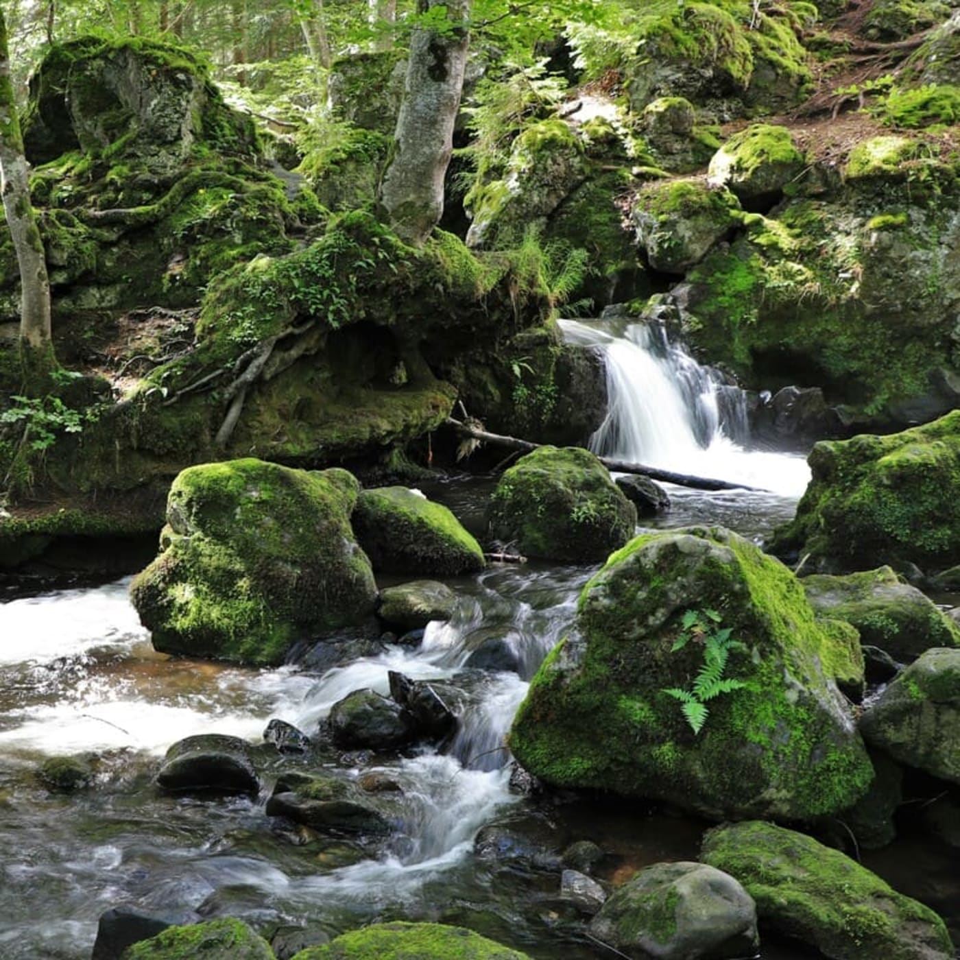 Randonnée cascade de Chiloza : vue sur le torrent et la cascade depuis le sentier de rando