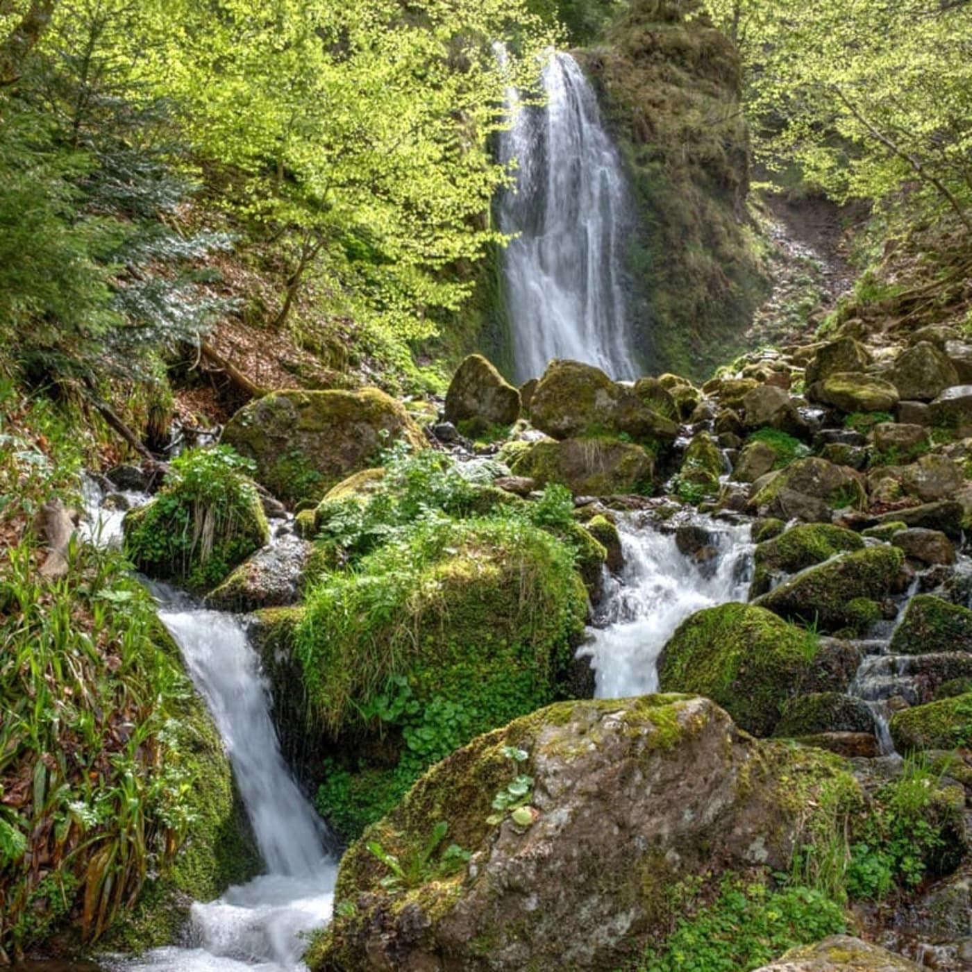 Randonnée cascade Pérouse : vue sur la cascade au printemps dans la vallée de Chaudefour