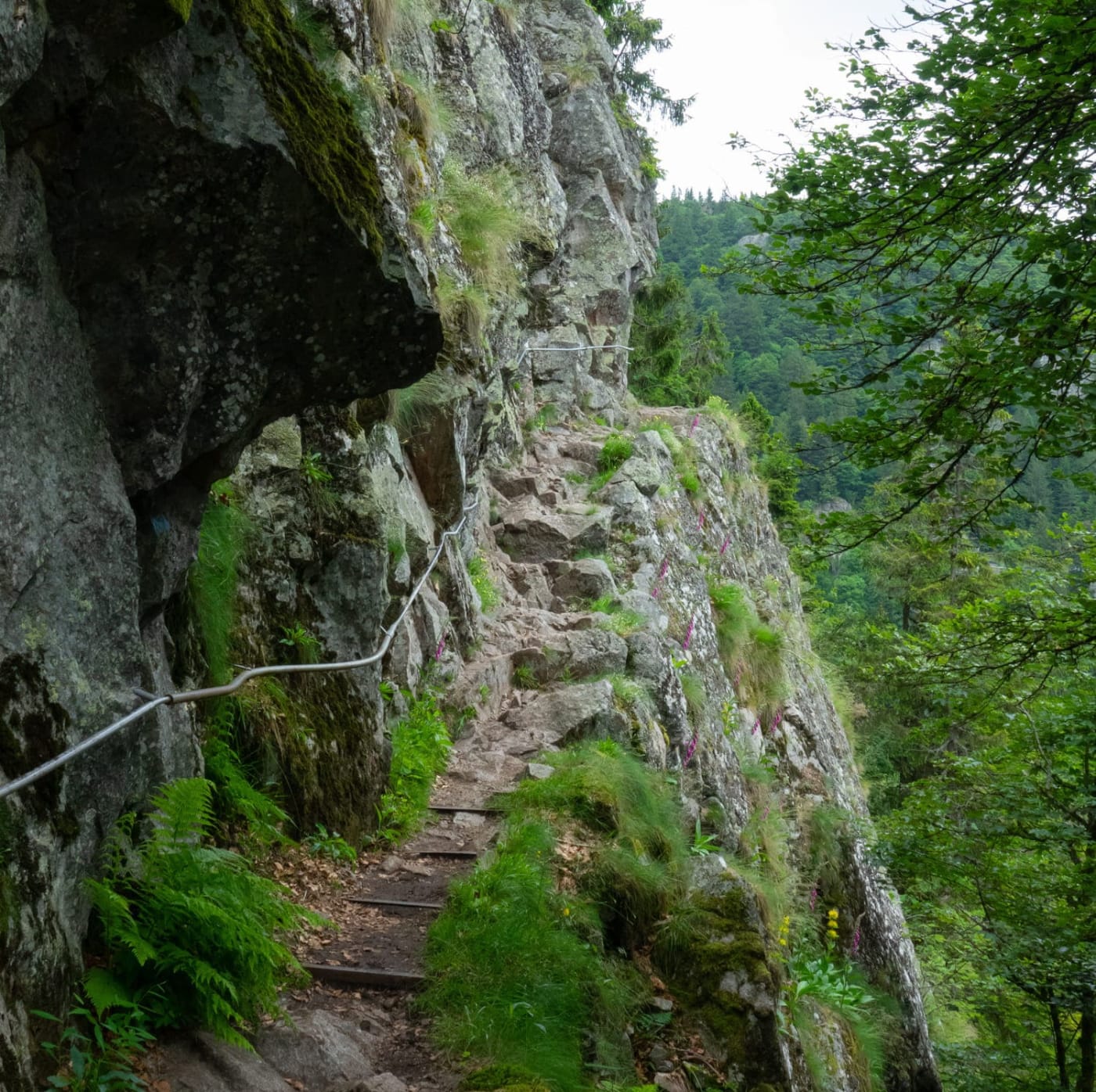 Le sentier des roches et ses passages à flanc de falaise