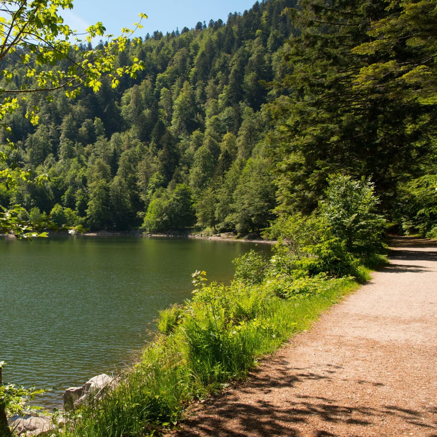 Le tour du lac des Corbeaux, une balade facile dans les Vosges