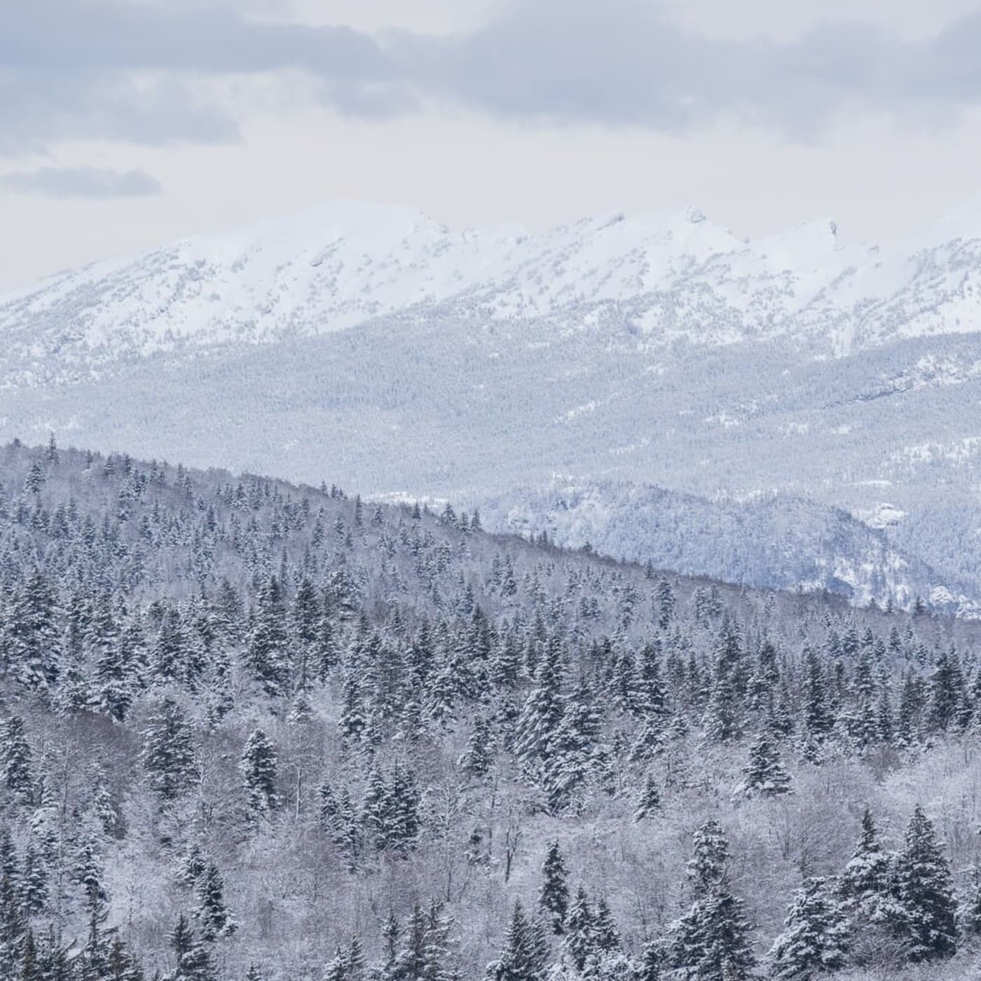 Randonnée raquettes Vercors : vue sur les environs de Font d'Urle enneigés