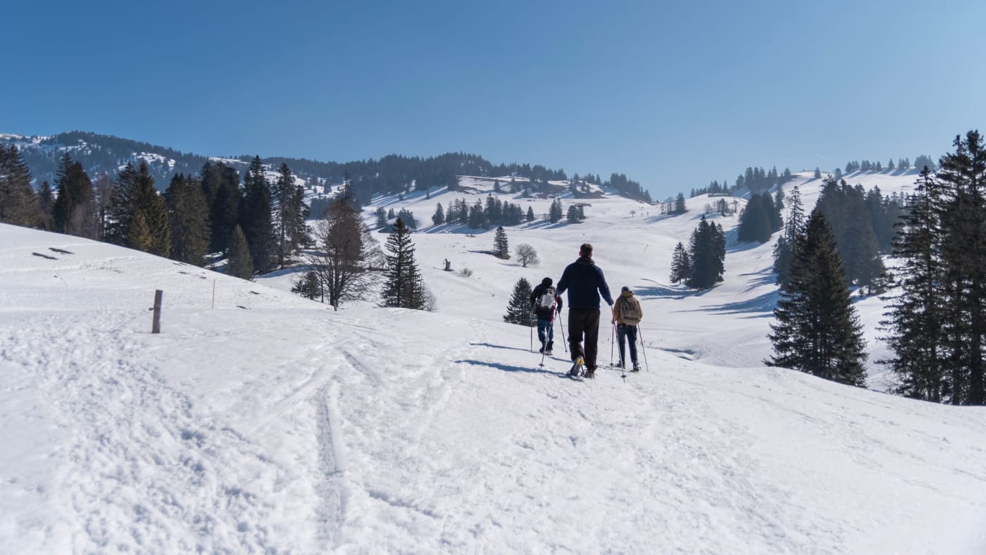 Vacances hiver raquettes : personnes marchant dans la neige en raquettes en montagne