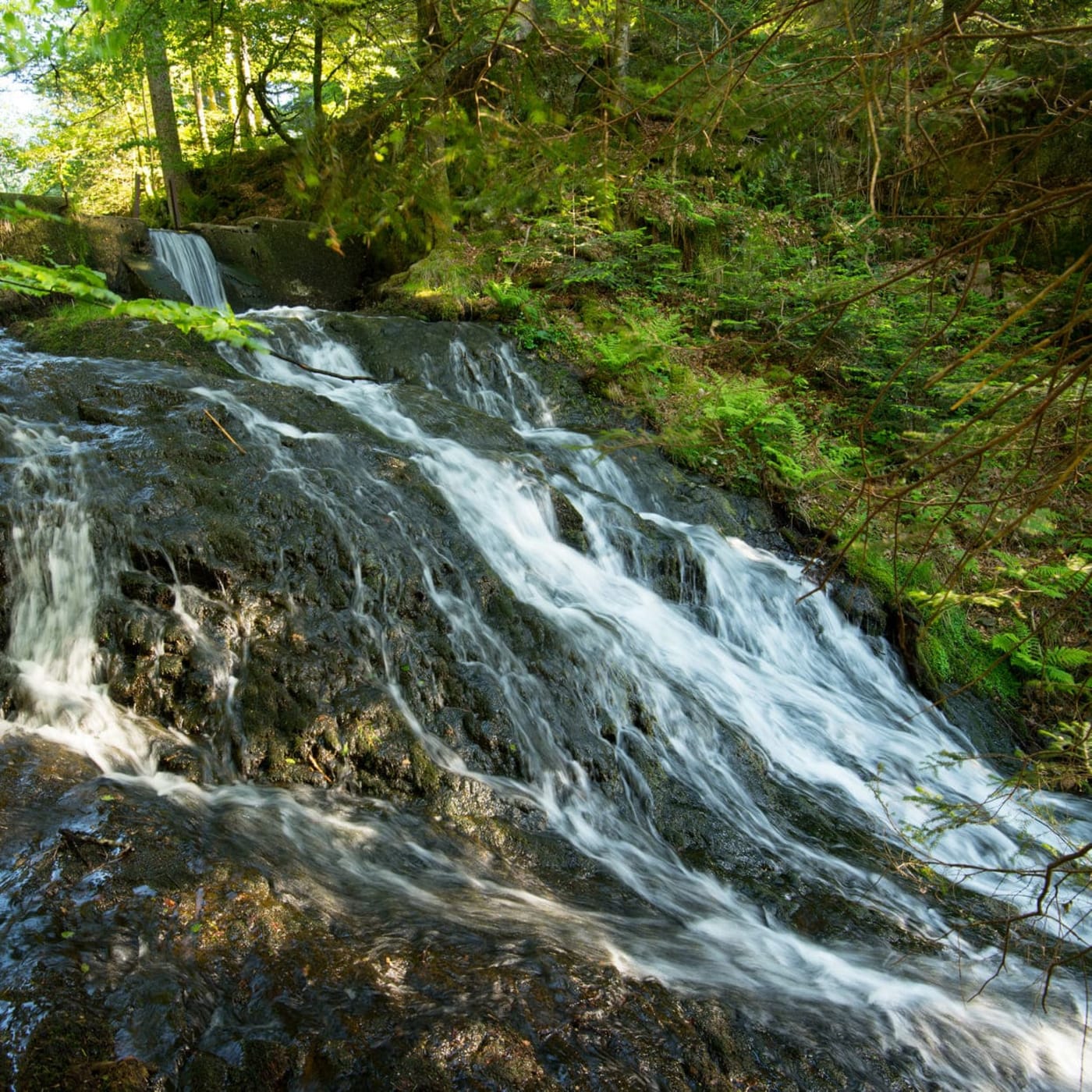 La cascade de Retournemer qui s'écoule dans la forêt