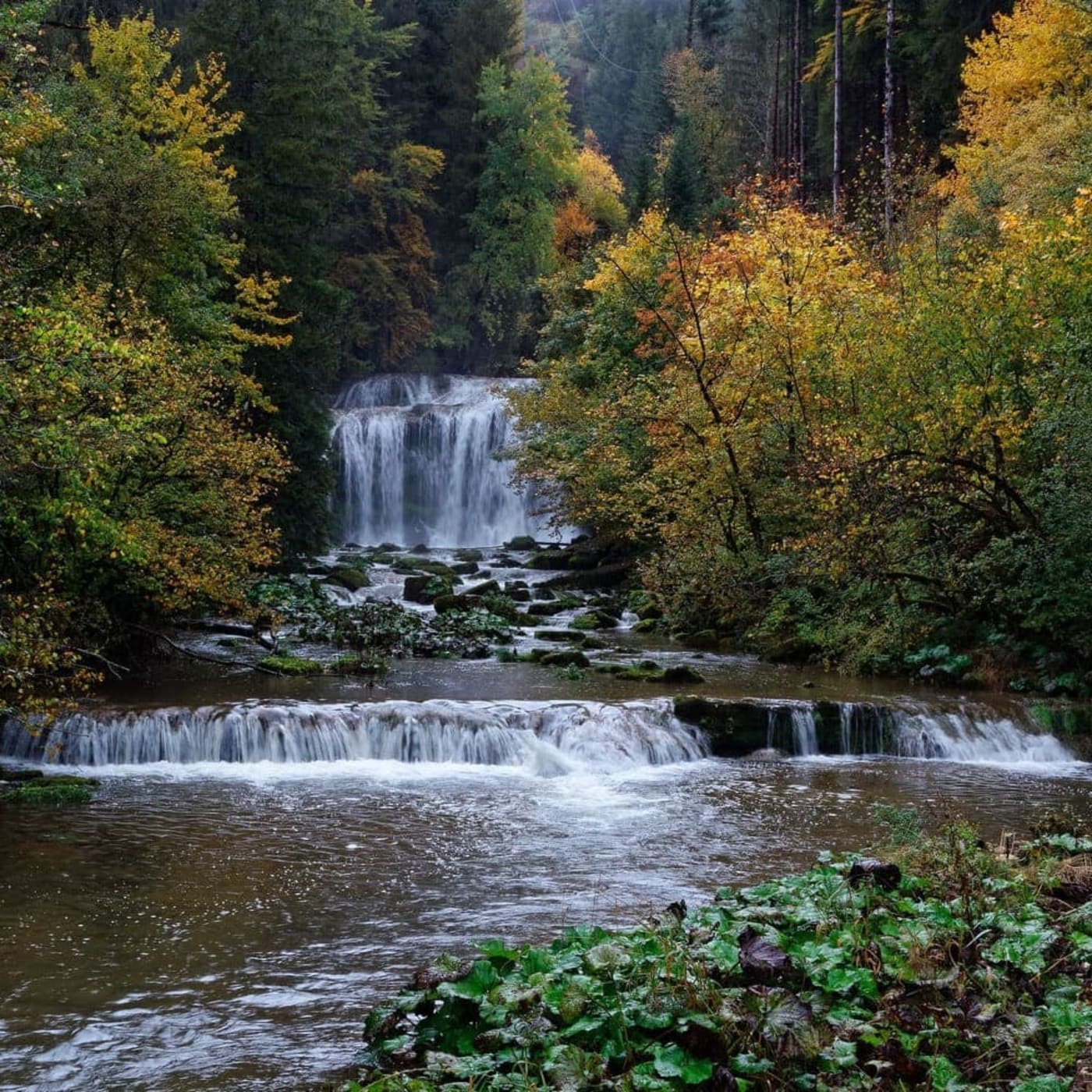 La cascade du Moulin du Saut