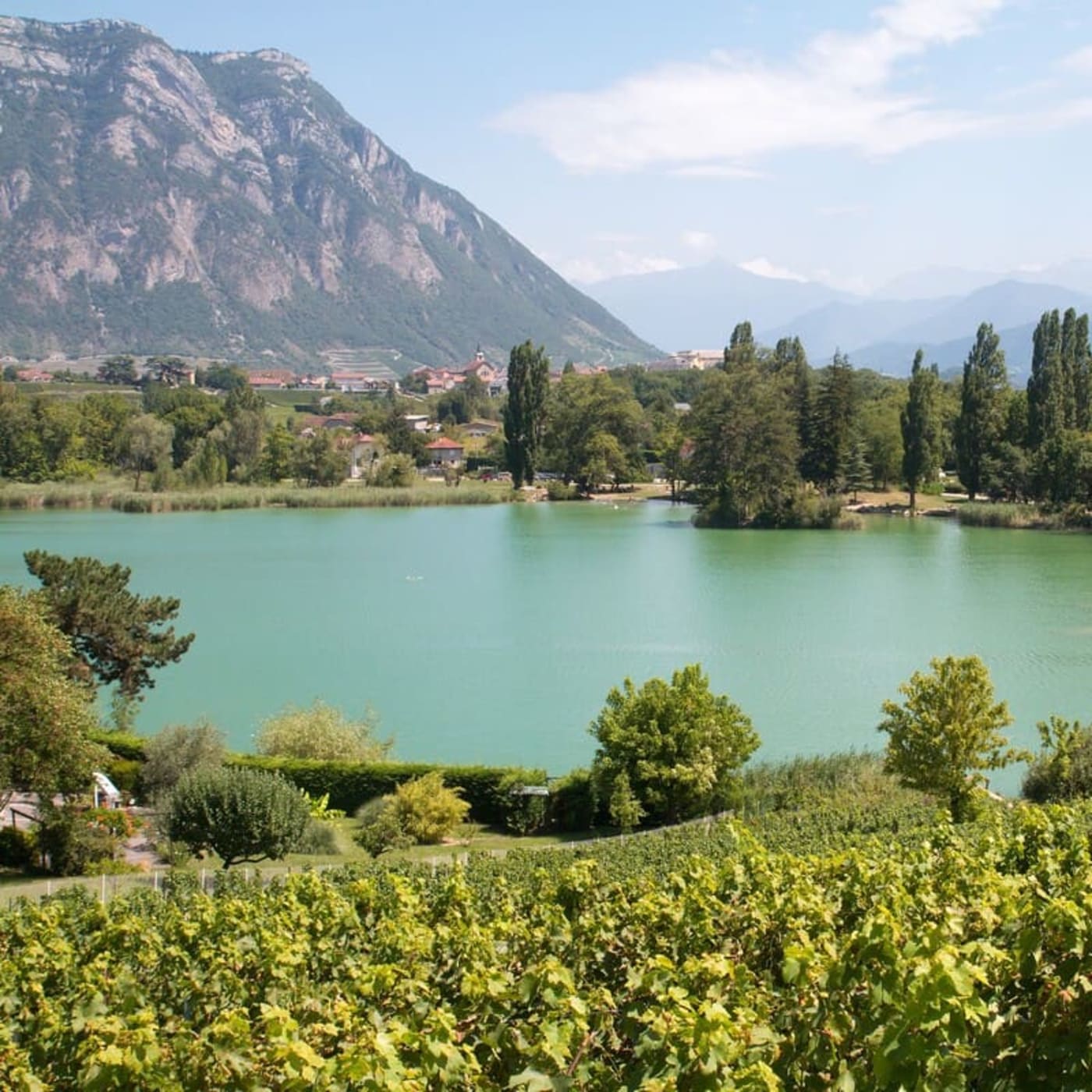 Randonnée lac Saint-André : vue sur le lac, les vignes et les montagnes de Savoie en arrière-plan