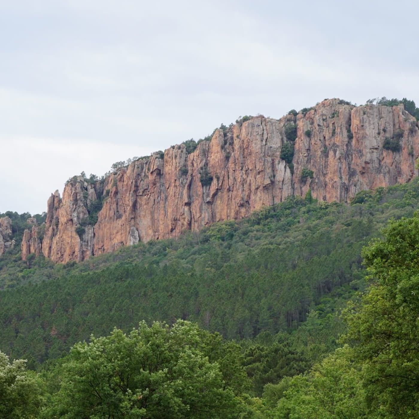 Les falaises des Gorges du Blavet