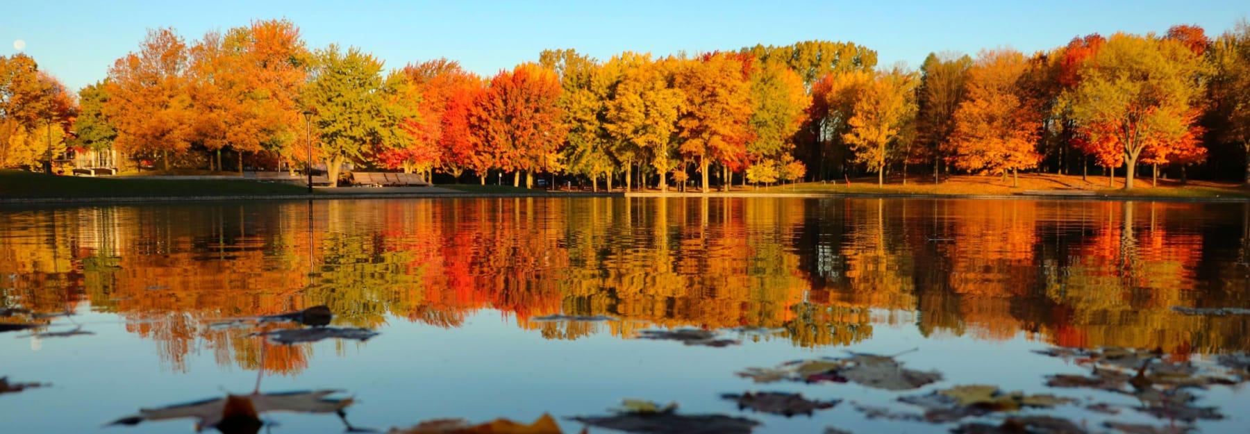 Randonnée en automne : les plus belles randonnées en forêt, dans les montagne ou en campagne 