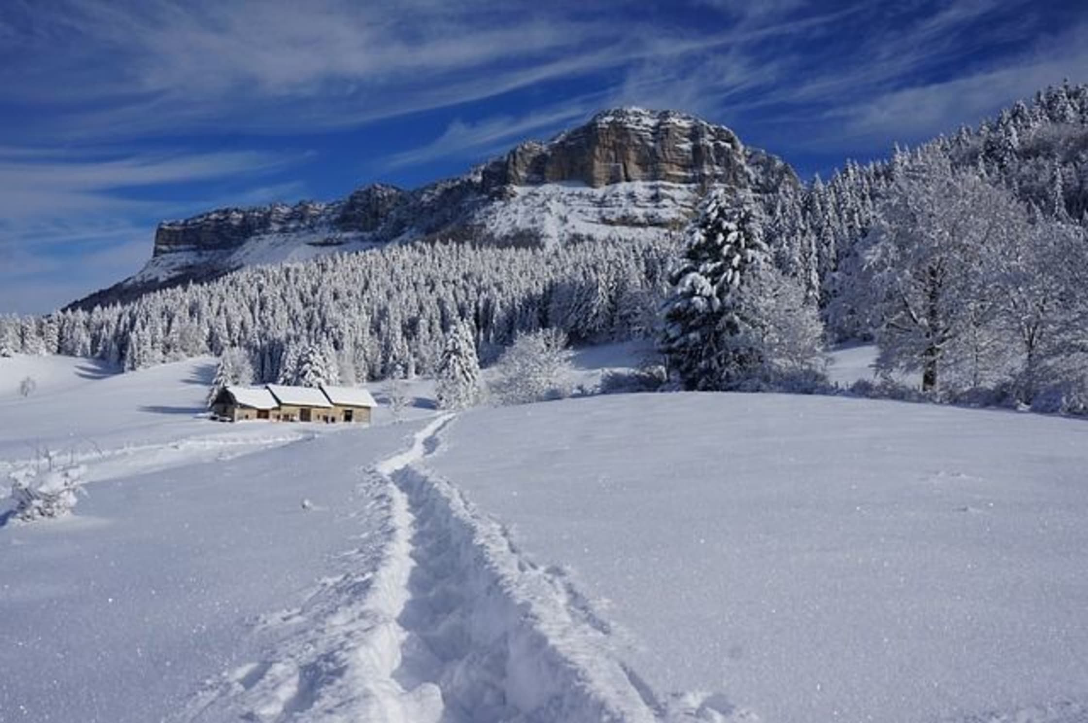 Rando raquette Jura : froid polaire et spots de rêve