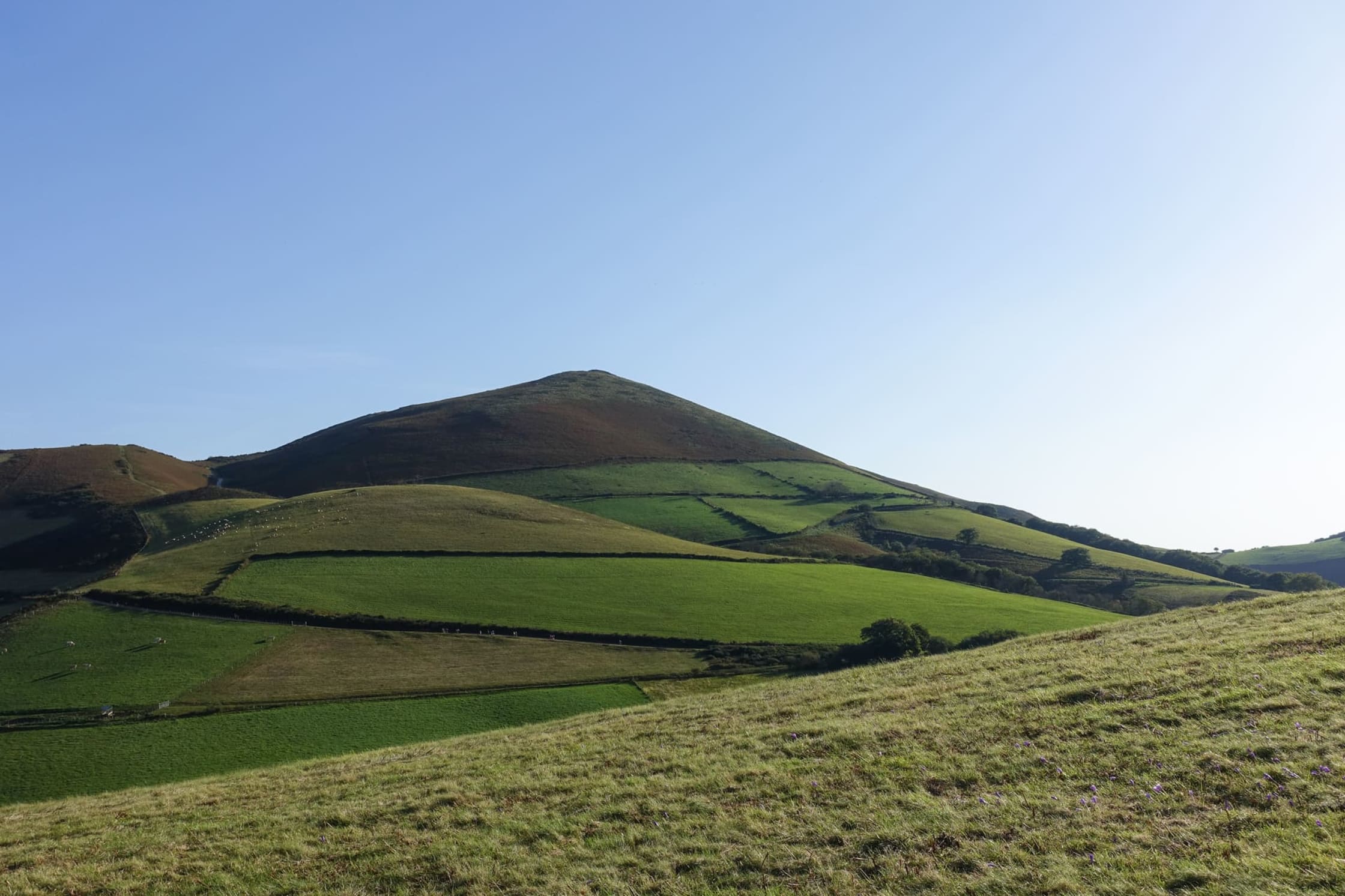 Mont Ursuya : la petite montagne basque en randonnée