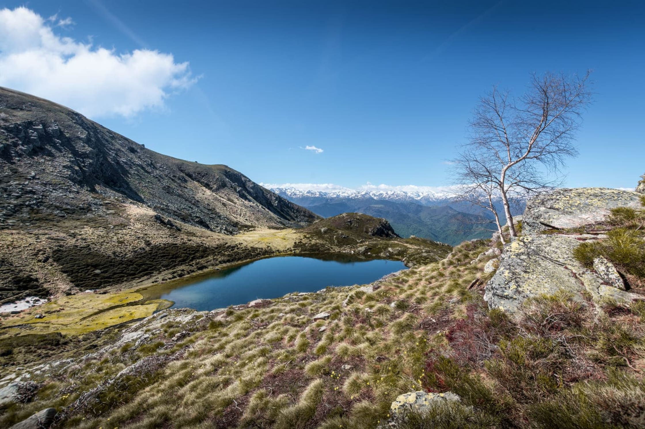 randonnée à l'étang d'Appy et panorama sur les Pyrénées