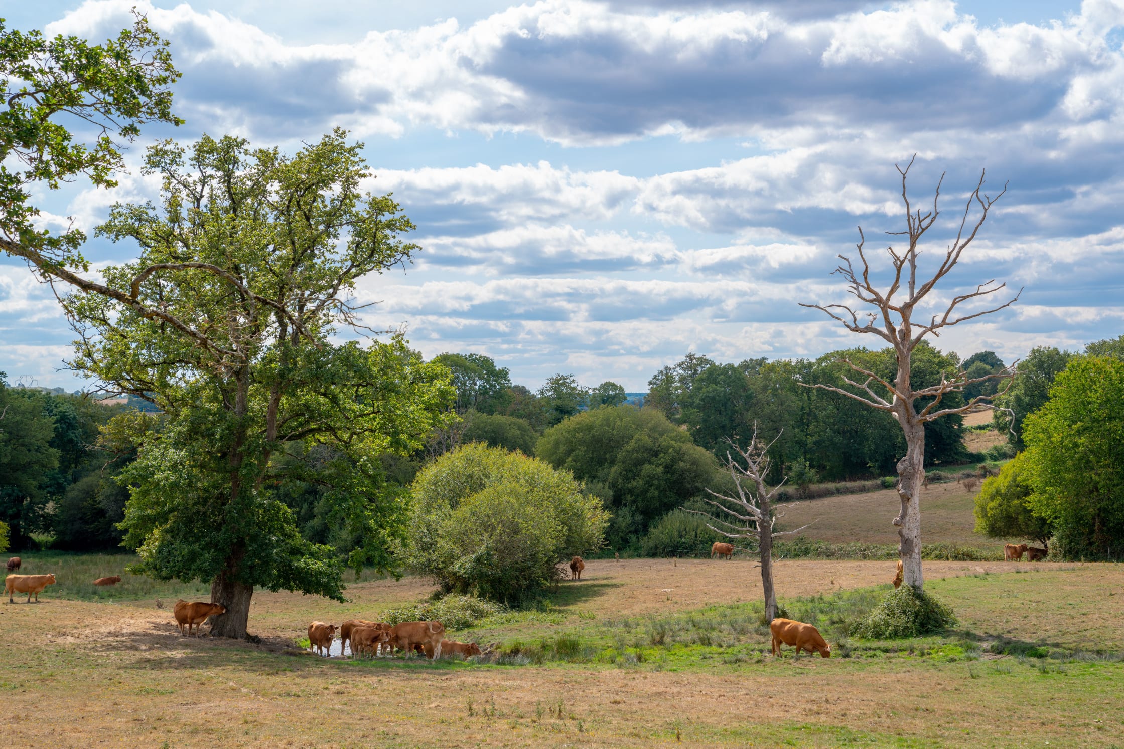 Balades en Haute-Vienne