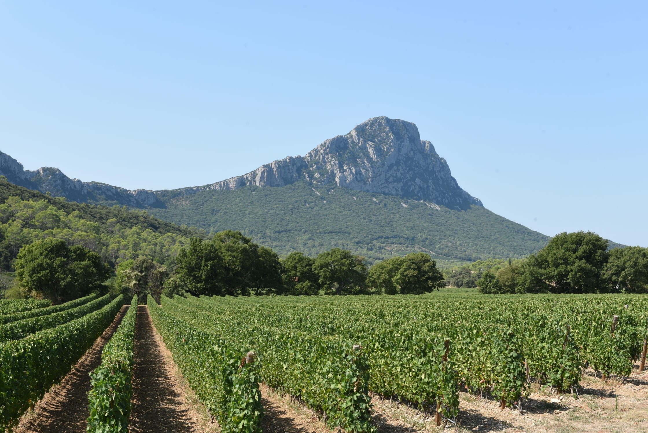 Balades dans l'Hérault