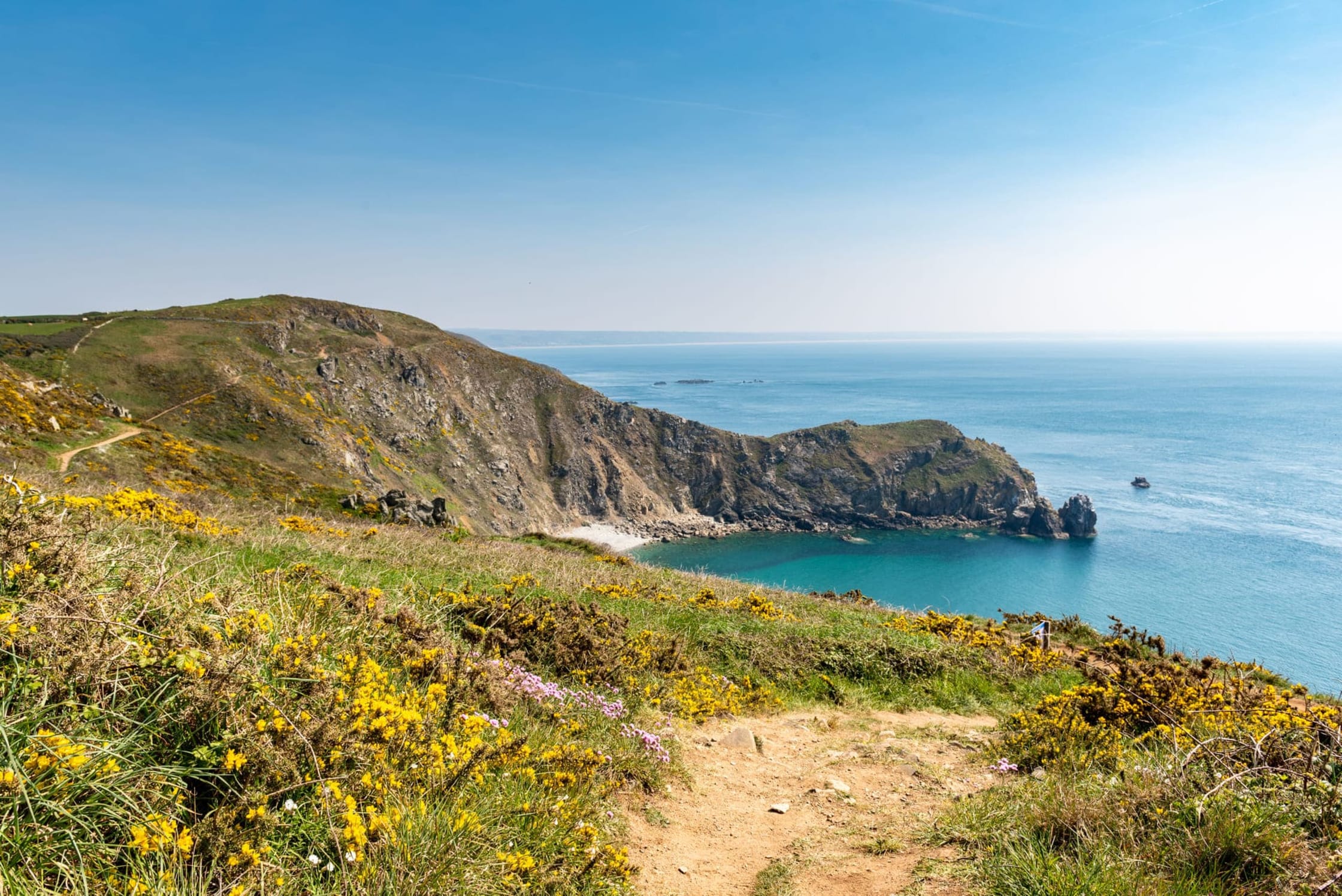 Randonnée au nez de Jobourg : vue sur le sentier des douaniers fleuri et les falaises du nez de Jobourg