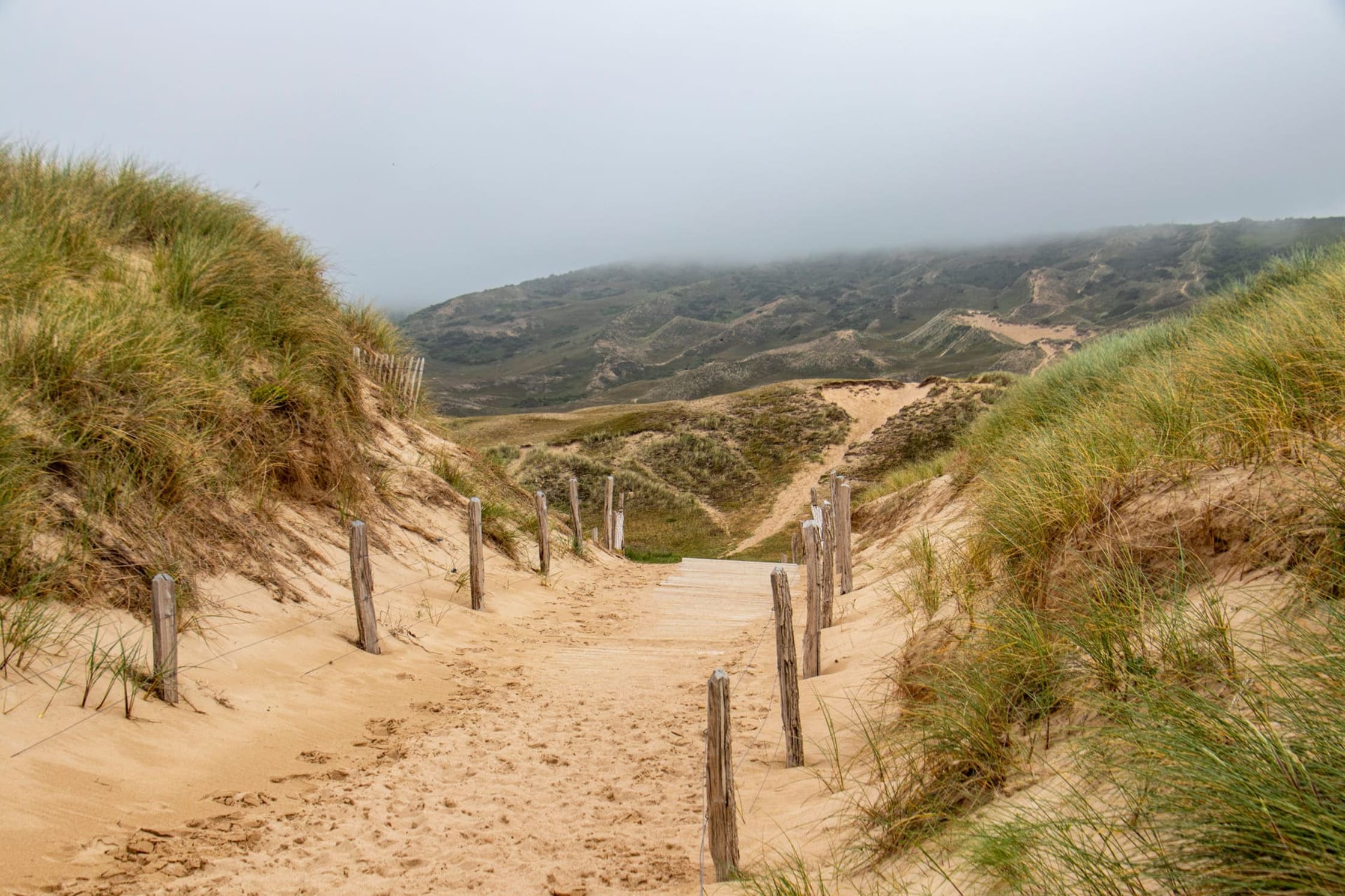 Randonnée dans les dunes de Biville : sentier entre les dunes végétalisées