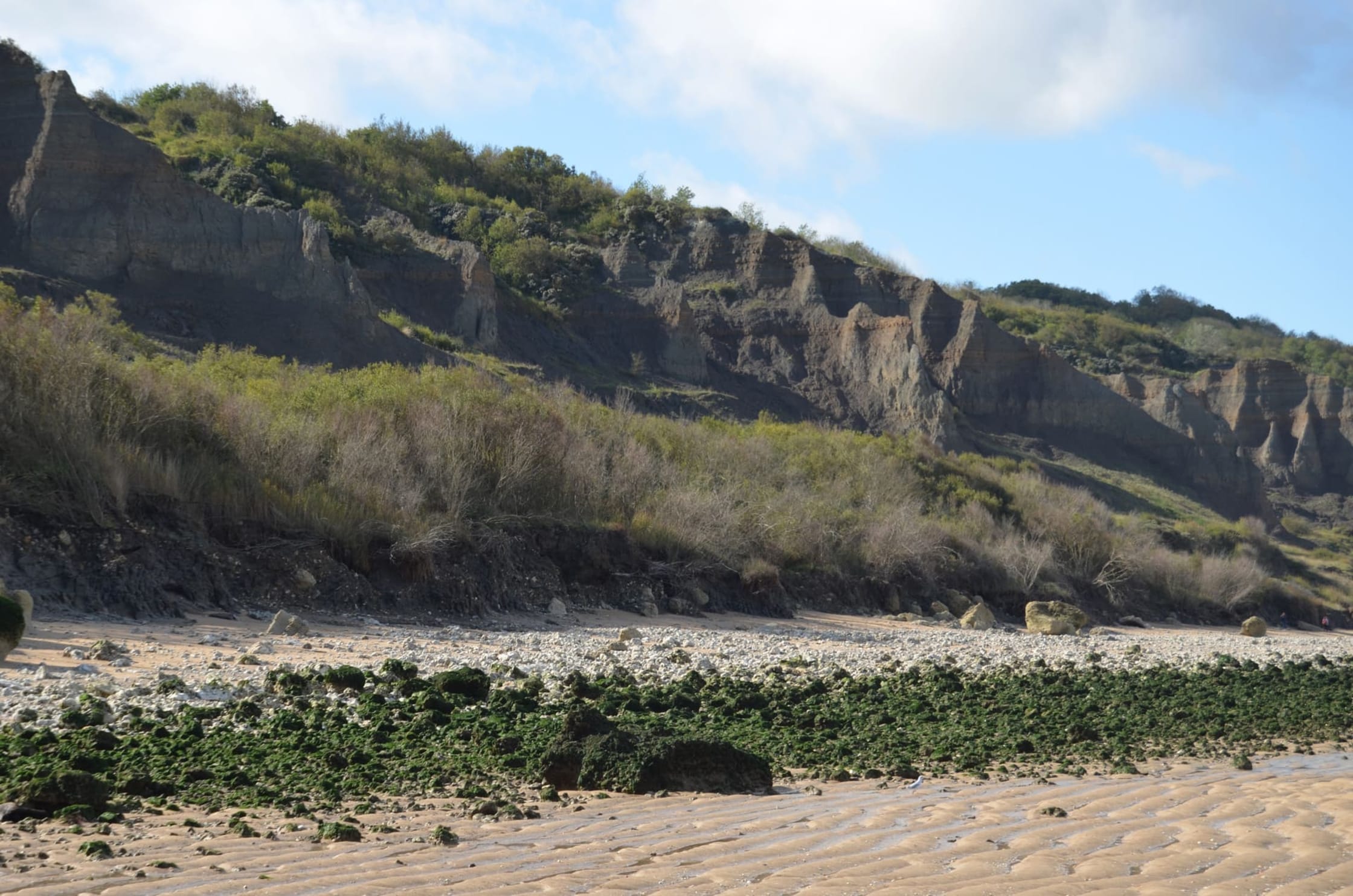 Randonnée falaises des Vaches noires : pointes acérées des falaises, végétaux les envahissant, et blocs de pierres décrochés sur la plage.