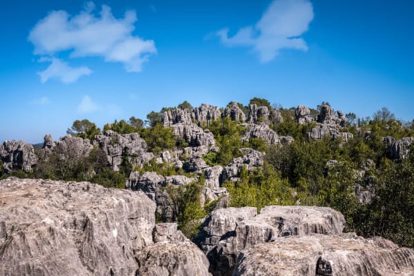 Randonnée Mer des rochers : vue sur les rochers calcaires émergeant de la garrigue