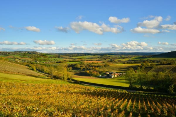 Randonnée en Bourgogne Franche Comté entre les vignes 