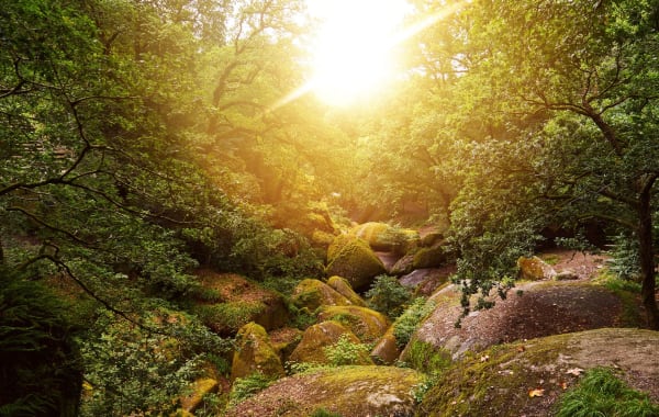 Randonnée et balade en forêt de Huelgoat dans le Finistère