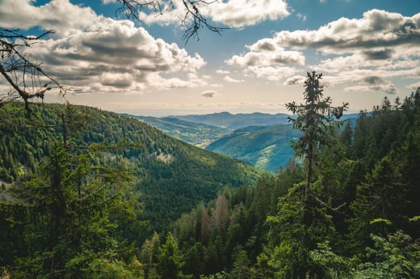 La vue depuis le sentier des Roches dans le massif des Vosges