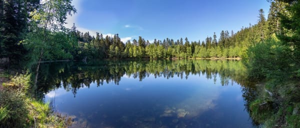 Randonnée lac de la Maix : étendue d'eau lisse, arbres verts autour reflétant dans le lac
