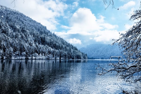 Grand Est : lac au pied de sapins enneigés