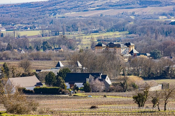 Bourgogne-Franche-Comté : village avec vignes et arbres dévêtus