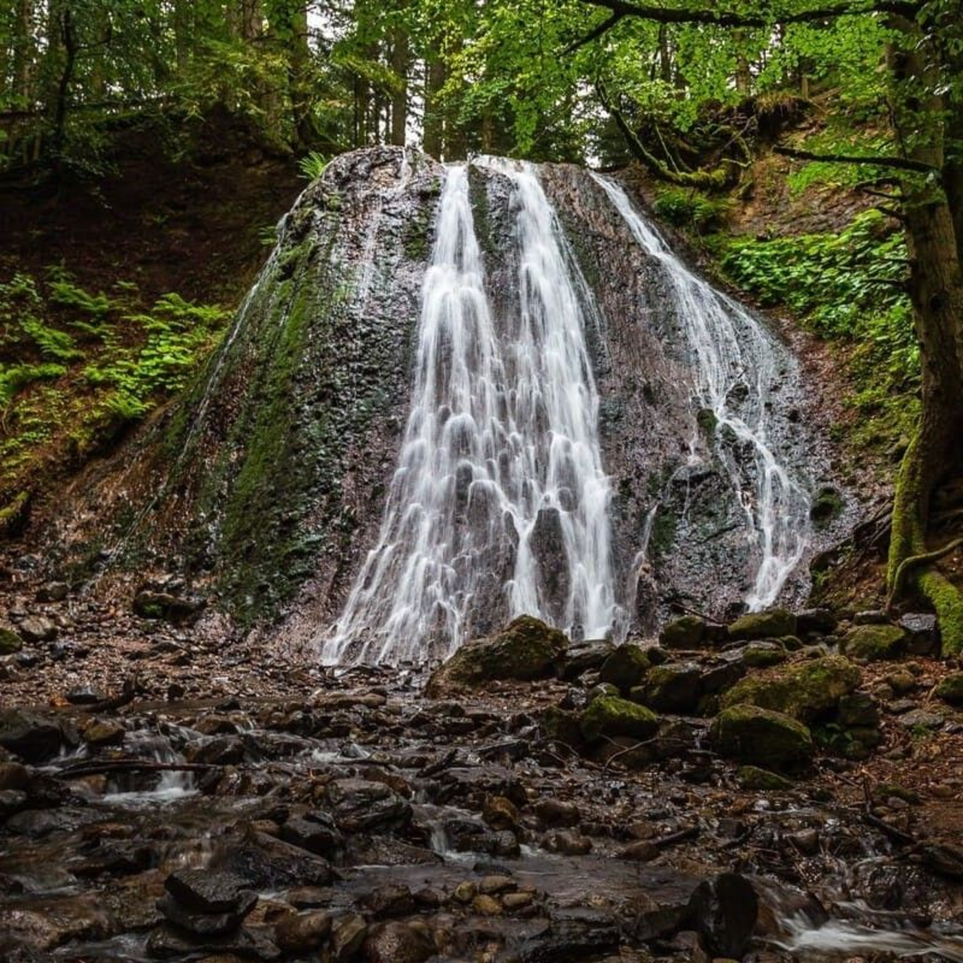 Randonnée cascade du Rossignolet : vue sur la cascade dans une forêt luxuriante