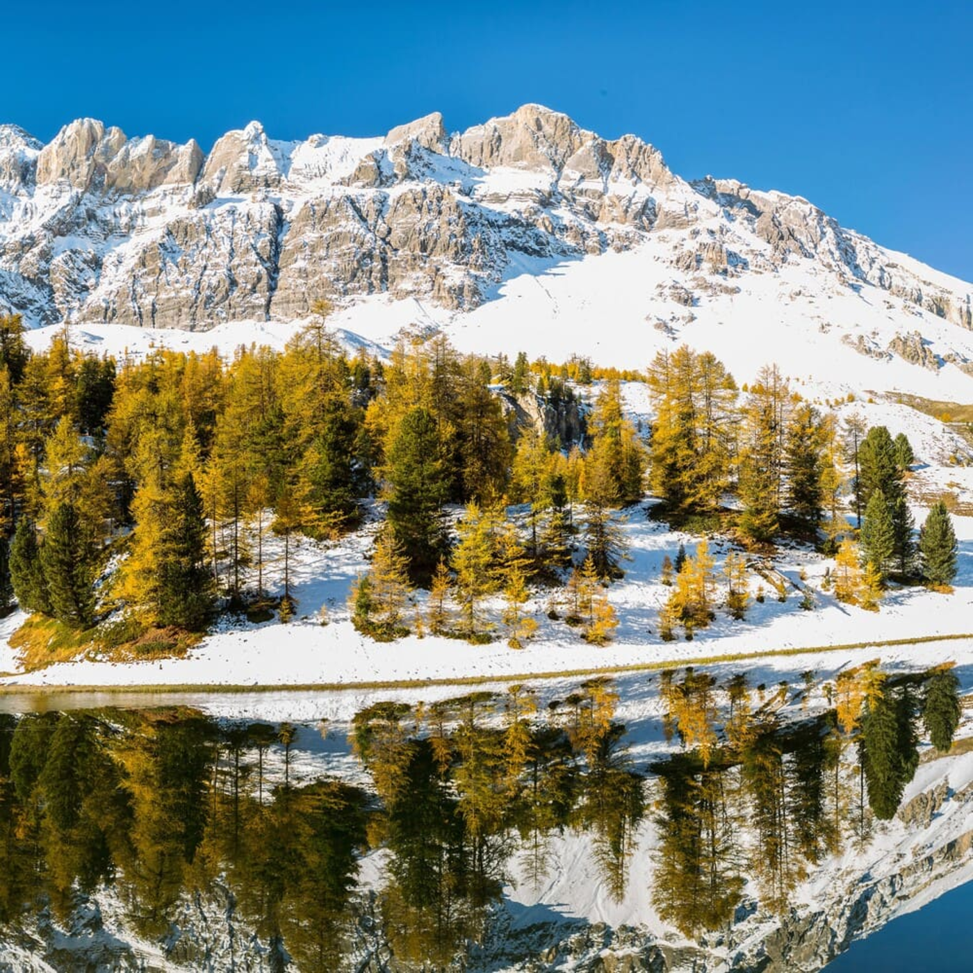 Randonnée raquettes lac miroir : vue sur les abords du lac miroir enneigés