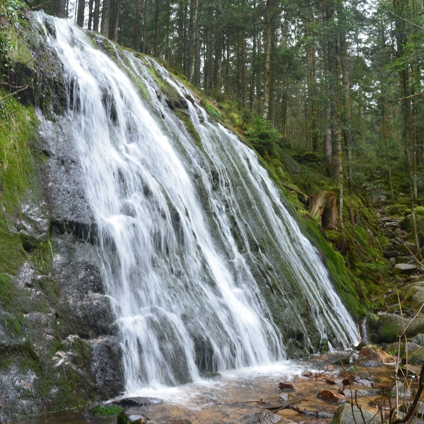 La cascade de la Pissoire dans les Vosges