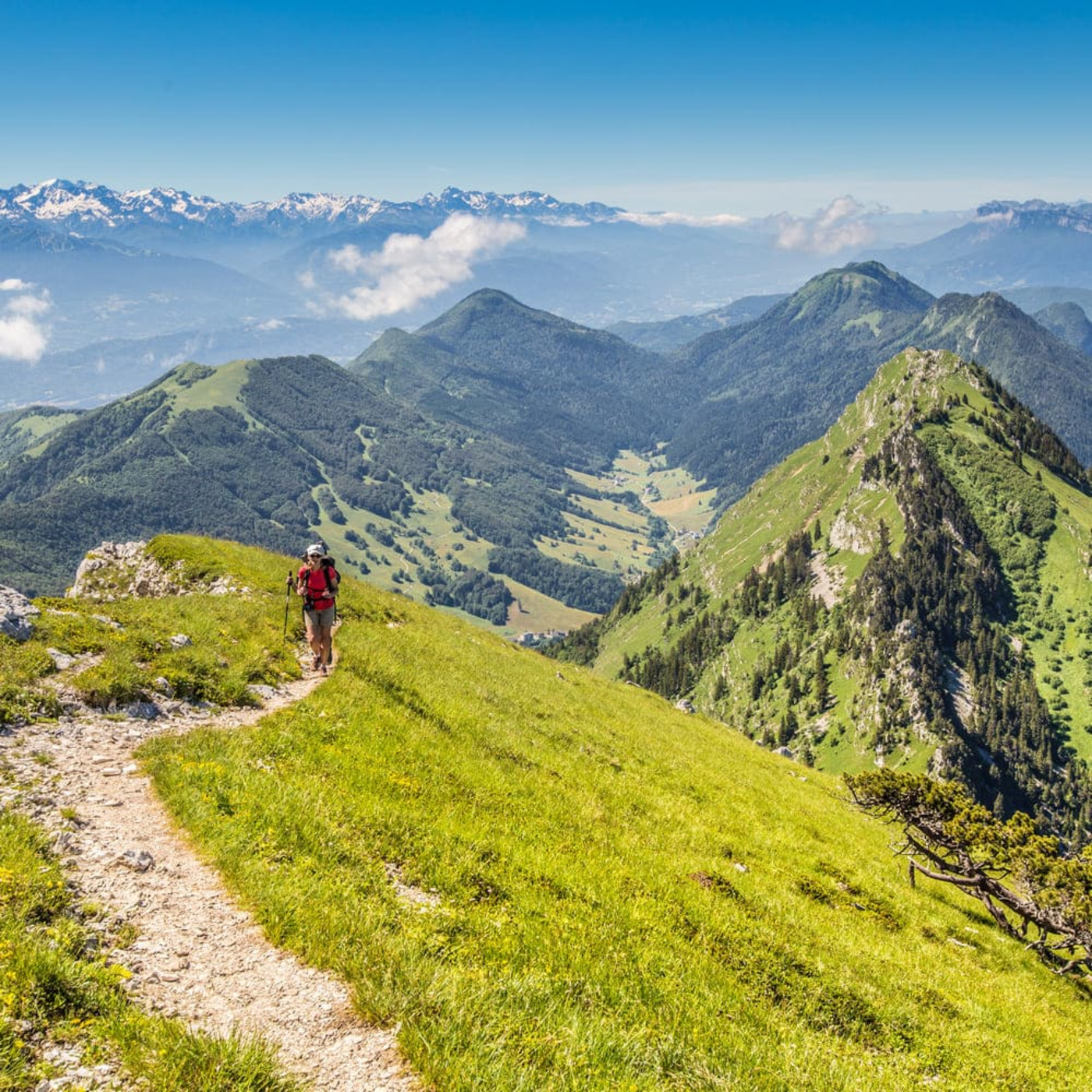 La montée du Colombier en randonnée dans le massif des Bauges