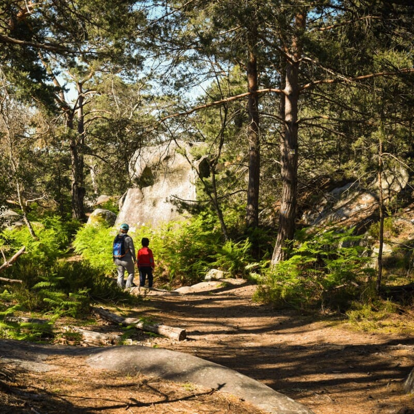 Randonnée forêt de Fontainebleau : deux marcheurs en bordure de forêt