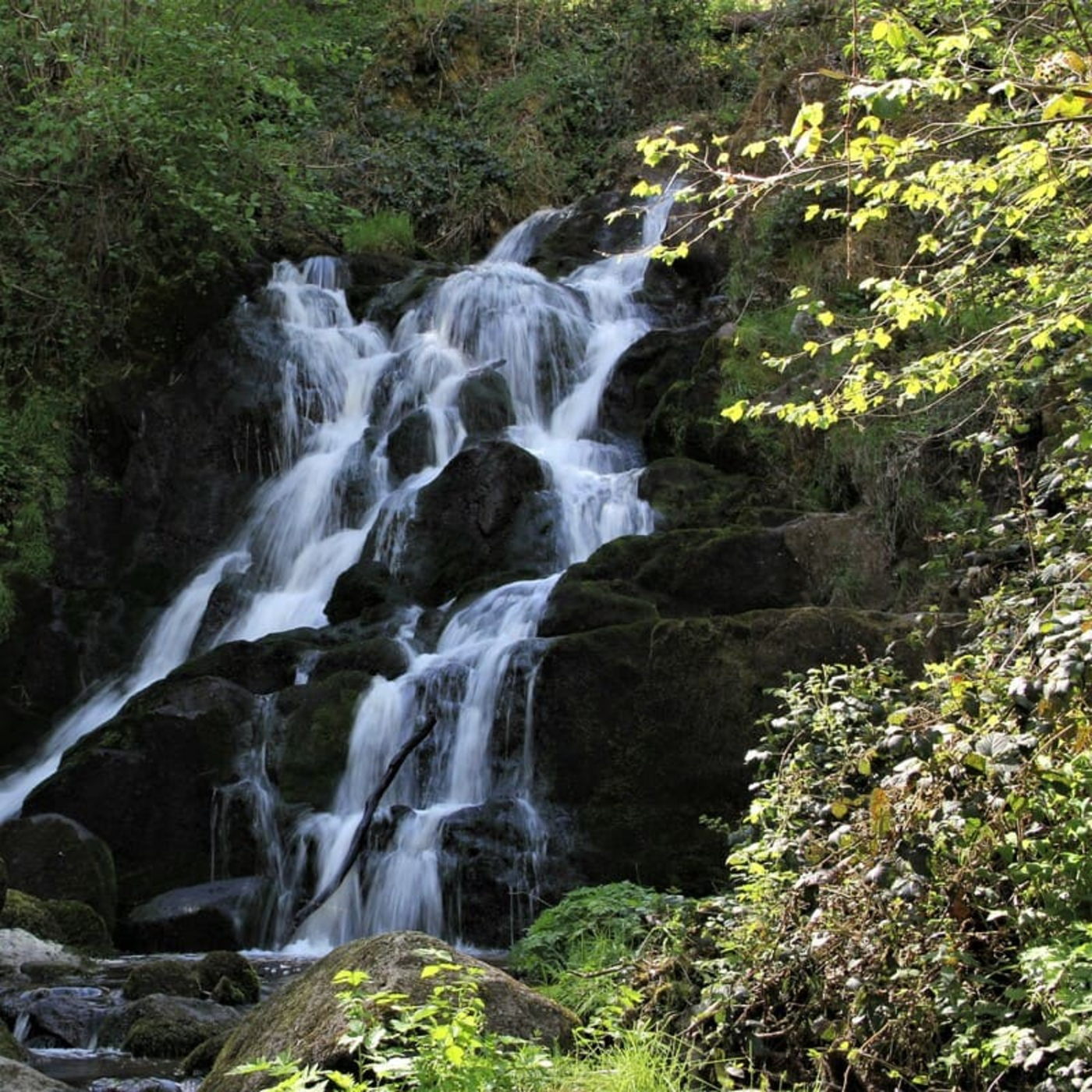 Randonnée cascade de l'Ecureuil : vue sur la cascade derrière les feuillages