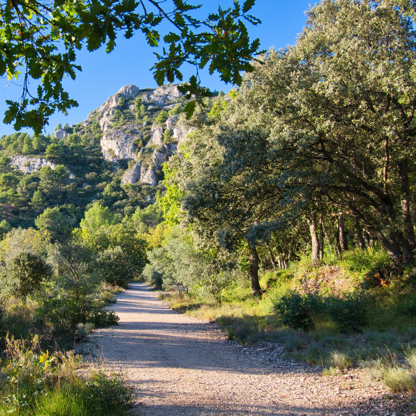 Randonnée gorges de Regalon : vue sur le sentier menant aux gorges