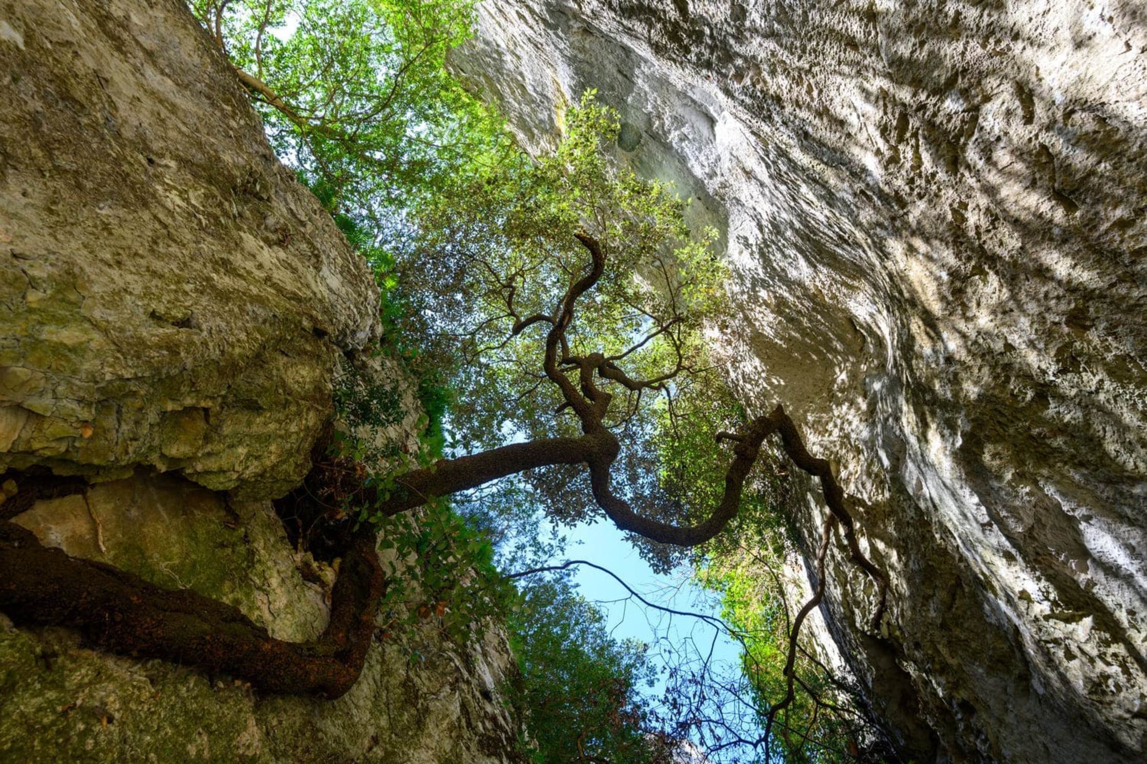 Randonnée dans les gorges de Régalon