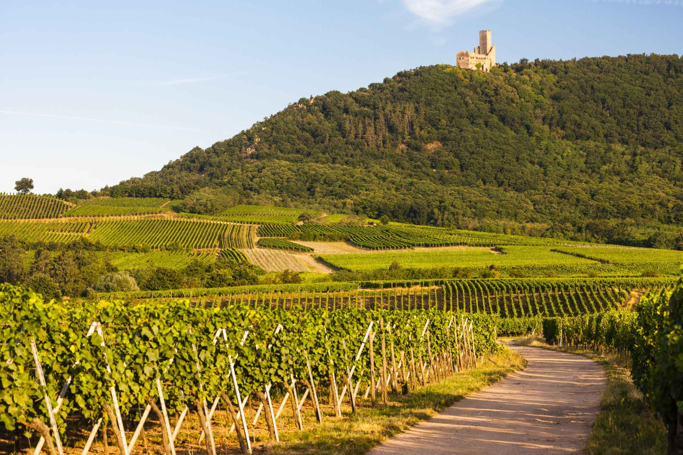 Randonnées dans le Bas-Rhin