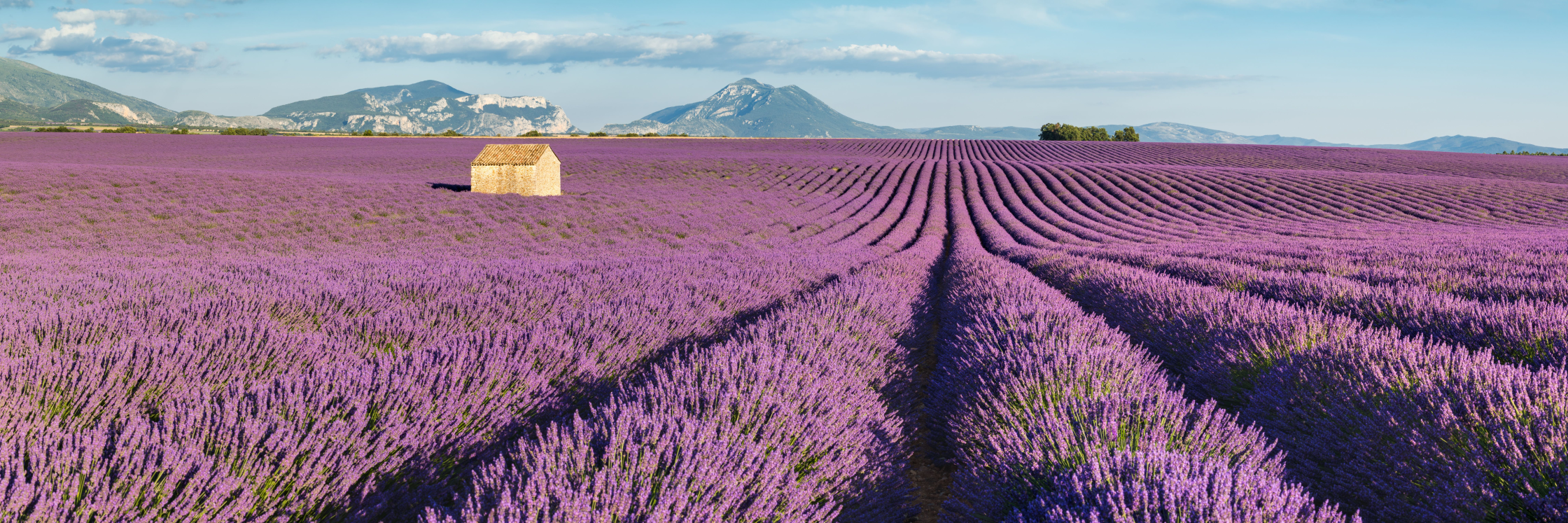 Randonnées dans les Alpes-de-Haute-Provence