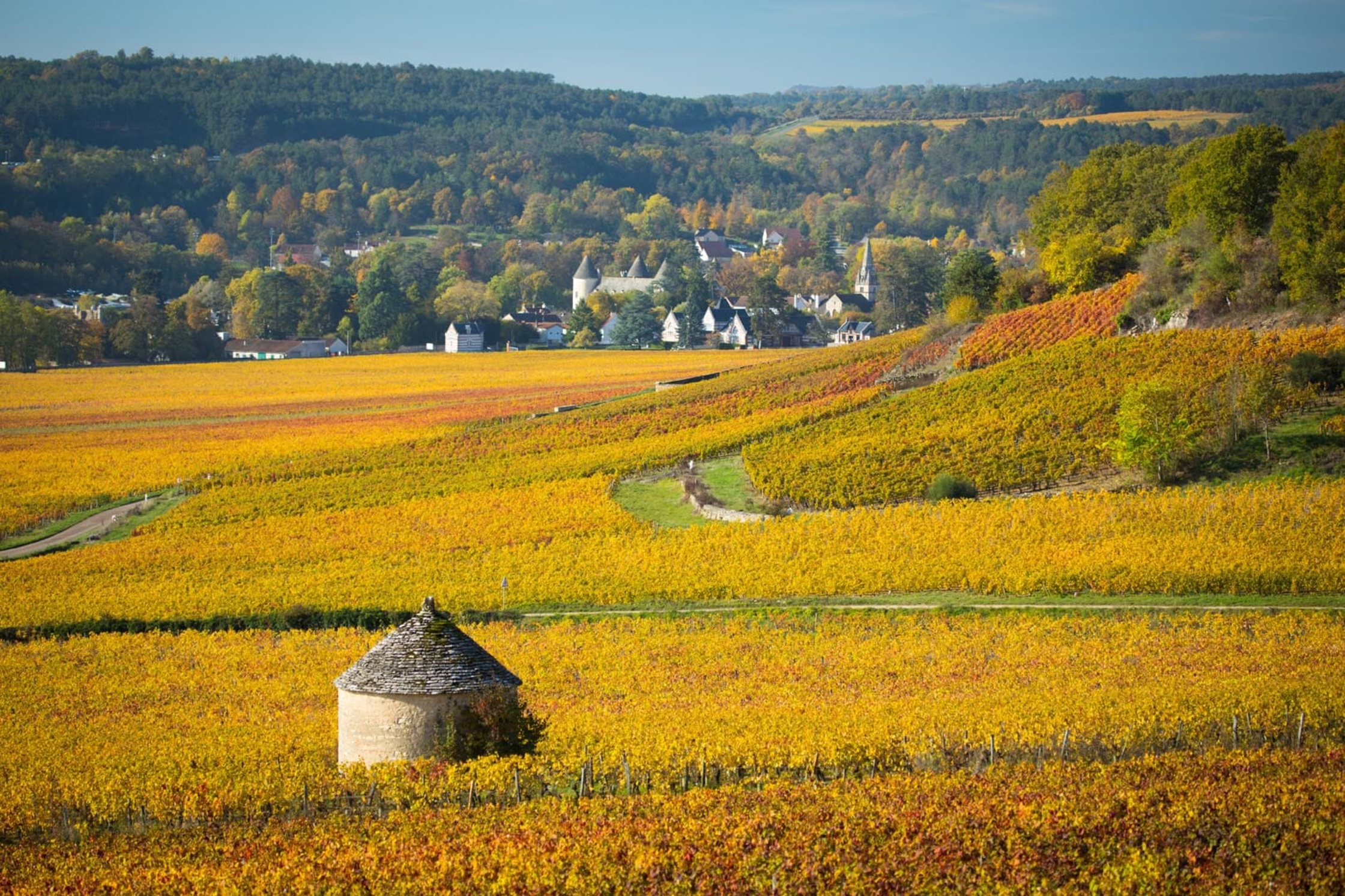 Randonnée Côte d'Or (21)