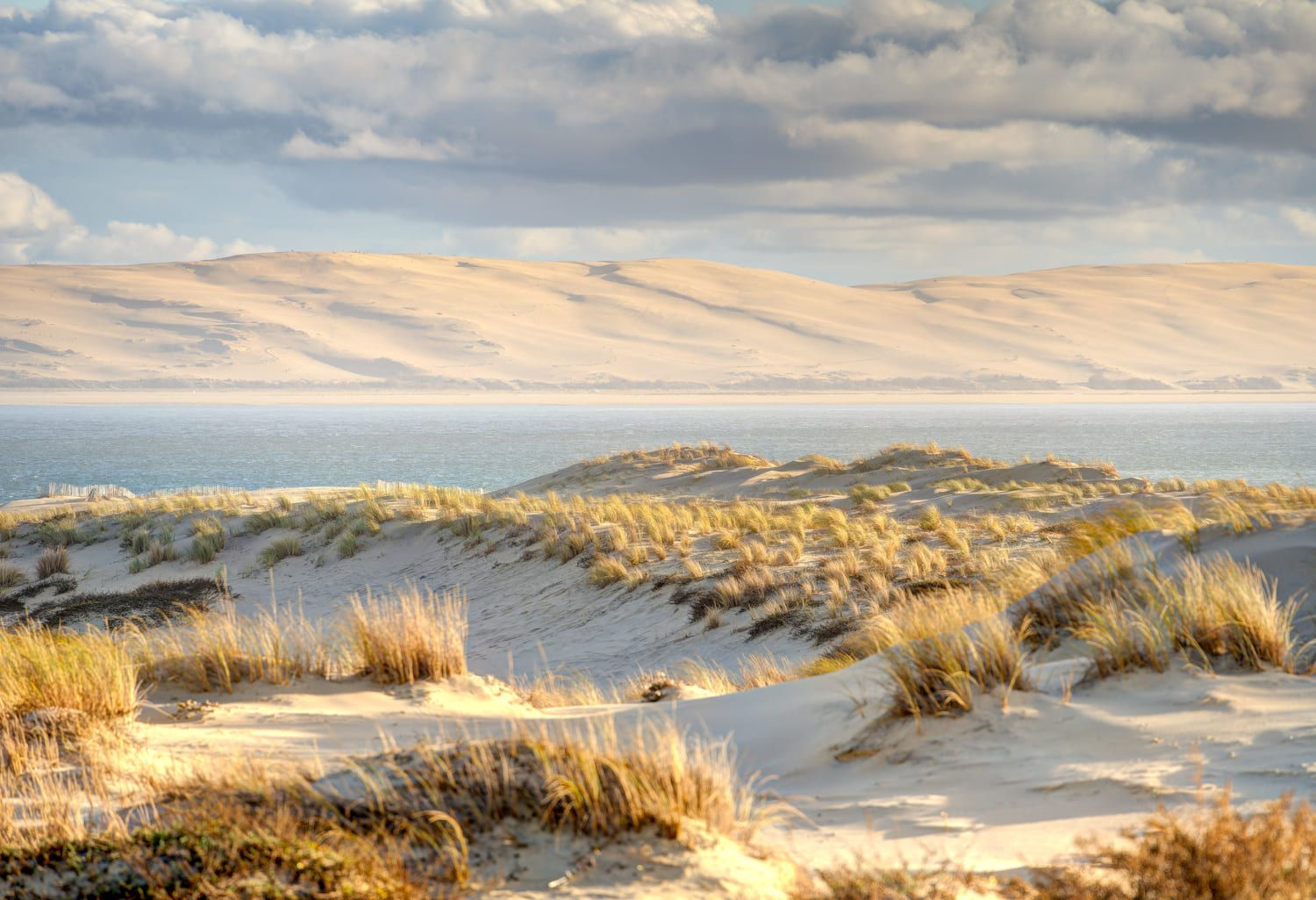 La dune du Pilat en Gironde, vue depuis le Cap Ferret pendant une randonnée